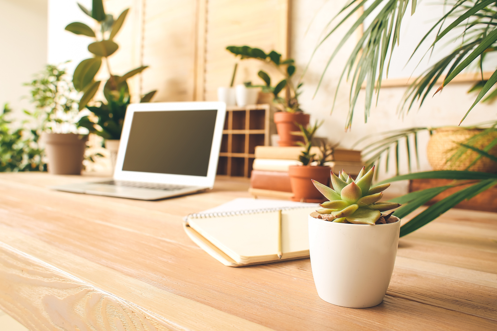 Comfortable Workplace With  Laptop and Indoor Plant